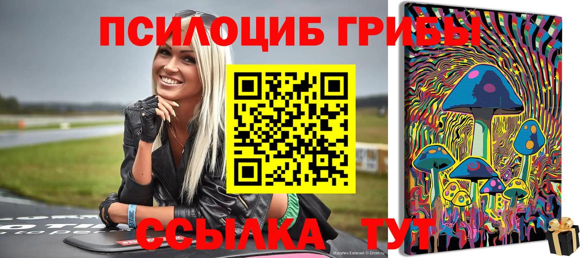 Псилоцибиновые грибы Psilocybine cubensis Лангепас